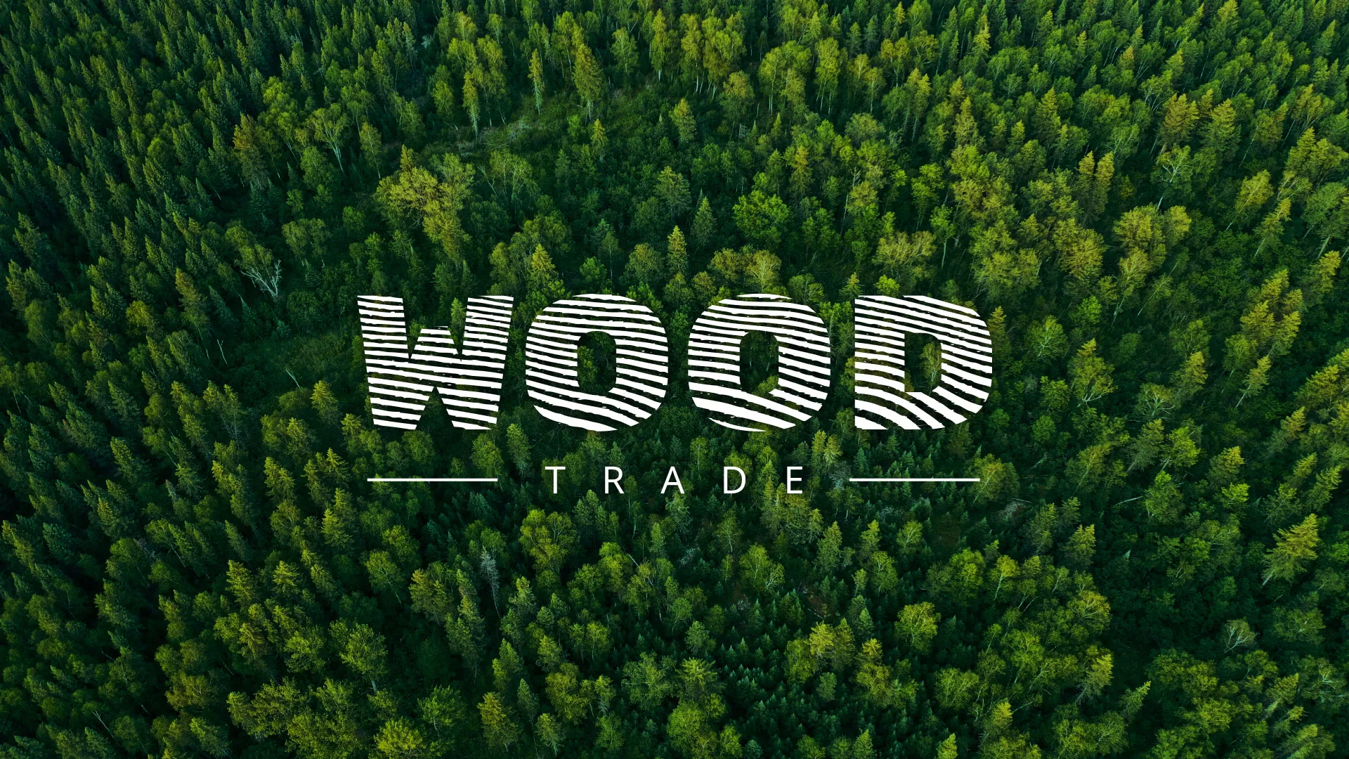 Разработка интернет-магазина компании «Wood Trade» в Дегтярске